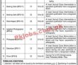 Etea Pk Jobs 2021 | Directorate Of Archaeology & Museums