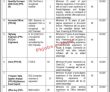 Economic Corridor Jobs 2022 | Ministry Of Inter Provincial Connectivity Economic