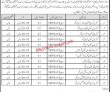 Education Department Jobs 2022 | Education Department Headquarters Announced Latest