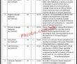 Education Department Jobs 2022 | Provincial Education Foundation Department Head