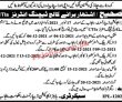 Education Department Pk Jobs 2021 | Higher Education Department College