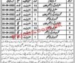 Education Jobs 2022 | Directorate Of Literacy & Non Formal