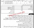 Education Jobs 2022 | Elementary & Secondary Education Department Head