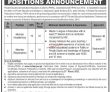 Education Jobs 2022 | Ministry Of Federal Education & Professional