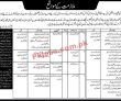 Education Pk Jobs 2021 | Education Sector Governance Program Announced