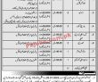 Ehsaas Program Jobs 2022 | Pakistan Bait Ul Mal Ehsaas