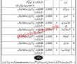 Ehsaas Program Pk Jobs 2021 | Ehsaas Program Poverty Alleviation
