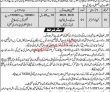 Ehsaas Program Pk Jobs 2021 | Pakistan Bait Ul Mal