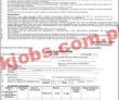 Election Commission Of Pakistan Ecp Jobs 2022 | Ecp Headquarters