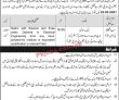Electricity Department Latest Advertisement PK Jobs 2021