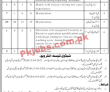 Electricity Department Latest Advertisement PK Jobs 2021