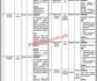 Electronic Certification Accreditation Council (ECAC) NTS PK Jobs 2021
