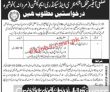 Elementary & Secondary Education Department Headquarters Announced Latest Advertisement Jobs