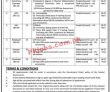 Emigration Department Jobs 2022 | Bureau Of Emigration & Overseas