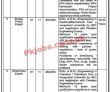 Energy Department Jobs 2023 | Energy Department Headquarters Announced Latest Recruitments