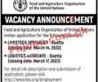 Fao Food & Agriculture Organization Head Office Announced Latest Recruitments