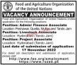 Fao Jobs 2022 | Food And Agriculture Organization Fao Headquarters