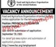 Fao latest Jobs 2023 | Food And Agriculture Organization Jobs 2023