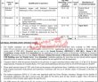 Fbr Pk Jobs 2021 | Federal Board Of Revenue Announced