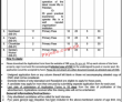 Fbr Pk Jobs 2021 | Federal Board Of Revenue Announced