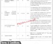 Faisalabad Children Hospital New Latest Govt Jobs 2022 Advertisement