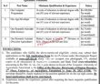 Faisalabad University Of Agriculture Uaf Latest In Pakistan Jobs 2022