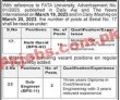 Fata University Latest Jobs 2023