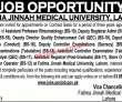 Fatima Jinnah Medical University (fjmu) Management & Faculty Pk Jobs