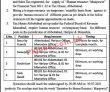Federal Board Of Revenue (fbr) Announced Support Staff Pk Jobs