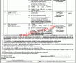 Federal Establishment Cabinet Division Management PK Jobs 2021