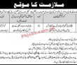 Federal Industrial Infrastructure Development PK Jobs 2021