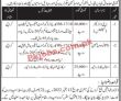 Federal Insurance Ombudsman Secretariat Head Office Announced Latest Recruitments Jobs