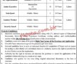 Federal Jobs 2022 | Federal Public Sector Organization Head Office