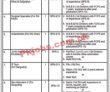 Federal Jobs 2022 | Federal Public Sector Organization Head Office