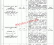 Federal Medical College Management & Faculty PK Jobs 2021