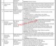 Federal Pk Jobs 2021 | Federal Sector Telecommunication Organization Head