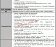 Federal Public Sector Organization Announced Management & It Pk Jobs