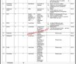 Federal Seed Certification & Registration Department Head Office Announced Latest