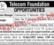 Federal Telecom Foundation Management PK Jobs 2021