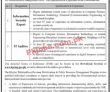 Finance Department jobs 2023