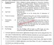 Finance Pk Jobs 2021 | National Savings Finance Division Announced