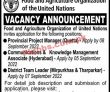 Food And Agriculture Organization Of The United Nations Jobs August