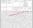 Forest Department Jobs 2022 | Provincial Forest Department Headquarters Announced
