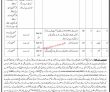 Forestry Jobs 2022 | Forest Department & Wildlife Division Announced