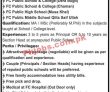 Frontier Corps Pk Jobs 2021 | Frontier Corps Fc Public