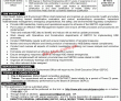 Gepco Pk Jobs 2021 | Electric Power Supply Company Management