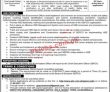 Gepco Pk Jobs 2021 | Electric Power Supply Company Management