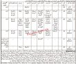 Government Food Department PK Jobs 2021