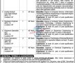 Government Organization Jobs 2023 | Government Organization Headquarters Announced Latest