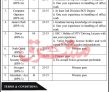 Government Organization Management PK Jobs 2021